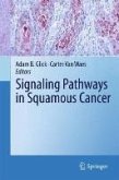 Signaling Pathways in Squamous Cancer (eBook, PDF)
