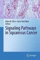 Cover Signaling Pathways in Squamous Cancer (eBook, PDF)