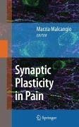 Synaptic Plasticity in Pain (eBook, PDF)