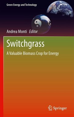 Cover Switchgrass (eBook, PDF)