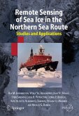 Remote Sensing of Sea Ice in the Northern Sea Route (eBook, PDF)