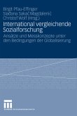 International vergleichende Sozialforschung (eBook, PDF)