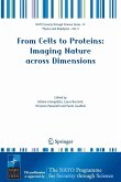 From Cells to Proteins: Imaging Nature across Dimensions (eBook, PDF)