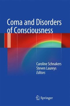 Coma and Disorders of Consciousness (eBook, PDF)