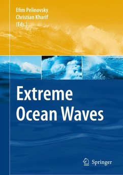 Extreme Ocean Waves (eBook, PDF)