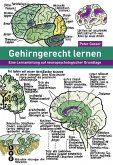 Gehirngerecht lernen (E-Book) (eBook, ePUB)