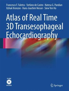 Atlas of Real Time 3D Transesophageal Echocardiography (eBook, PDF) - Faletra, Francesco F.; de Castro, Stefano; Pandian, Natesa G.; Kronzon, Itzhak; Nesser, Hans-Joachim; Yen Ho, Siew