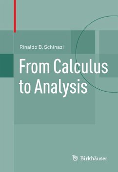 From Calculus to Analysis (eBook, PDF) - Schinazi, Rinaldo B.