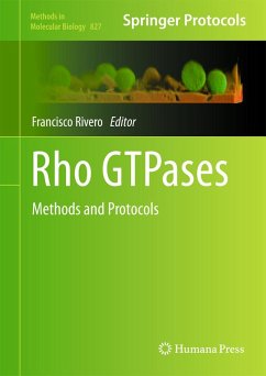 Cover Rho GTPases (eBook, PDF)