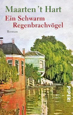 Ein Schwarm Regenbrachvögel (eBook, ePUB) - Hart, Maarten 't