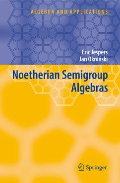Noetherian Semigroup Algebras (eBook, PDF) - Jespers, Eric; Okninski, Jan