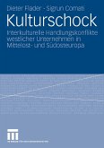 Kulturschock (eBook, PDF)