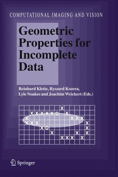 Geometric Properties for Incomplete Data (eBook, PDF)