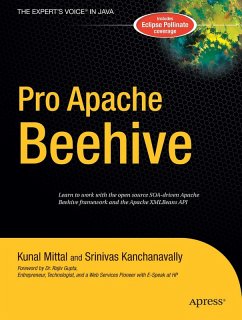 Pro Apache Beehive (eBook, PDF) - Kanchanavally, Srinivas; Mittal, Kunal