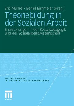 Theoriebildung in der Sozialen Arbeit (eBook, PDF)