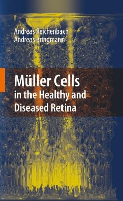 Müller Cells in the Healthy and Diseased Retina (eBook, PDF) - Reichenbach, Andreas; Bringmann, Andreas