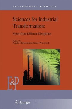 Understanding Industrial Transformation (eBook, PDF)