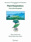 Plant Respiration (eBook, PDF)