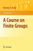 A Course on Finite Groups (eBook, PDF)