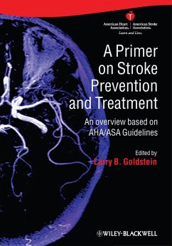 Cover A Primer on Stroke Prevention and Treatment (eBook, PDF)