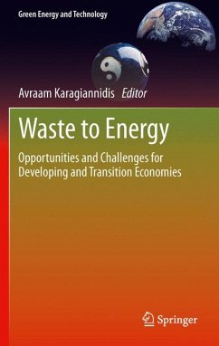 Waste to Energy (eBook, PDF)