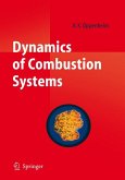 Dynamics of Combustion Systems (eBook, PDF)