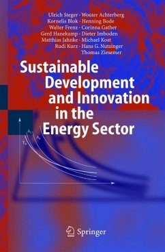 Sustainable Development and Innovation in the Energy Sector (eBook, PDF) - Steger, Ulrich; Achterberg, Wouter; Blok, Kornelis; Bode, Henning; Frenz, Walter; Gather, Corinna; Hanekamp, Gerd; Imboden, Dieter; Jahnke, Matthias; Kost, Michael; Kurz, Rudi; Nutzinger, Hans Gottfried; Ziesemer, Thomas