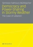 Democratisation and Power-Sharing in Stormy Weather (eBook, PDF)