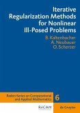 Iterative Regularization Methods for Nonlinear Ill-Posed Problems (eBook, PDF)