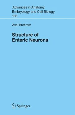 Structure of Enteric Neurons (eBook, PDF) - Brehmer, Axel