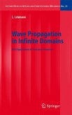 Wave Propagation in Infinite Domains (eBook, PDF)