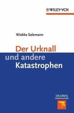 Der Urknall und andere Katastrophen (eBook, ePUB) - Salzmann, Wiebke