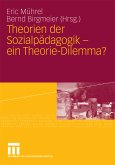 Theorien der Sozialpädagogik - ein Theorie-Dilemma? (eBook, PDF)