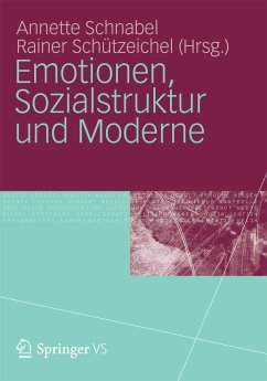Emotionen, Sozialstruktur und Moderne (eBook, PDF)