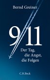 9/11 (eBook, ePUB)