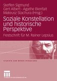 Soziale Konstellation und historische Perspektive (eBook, PDF)
