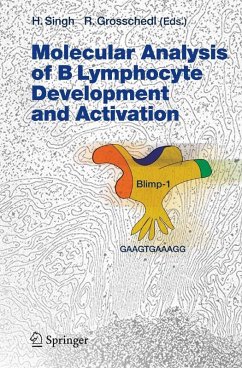 Cover Molecular Analysis of B Lymphocyte Development and Activation (eBook, PDF)