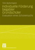 Individuelle Förderung begabter Grundschüler (eBook, PDF)