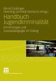 Handbuch Jugendkriminalität (eBook, PDF)