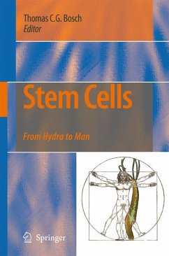 Stem Cells (eBook, PDF)