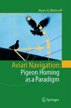 Avian Navigation: Pigeon Homing as a Paradigm (eBook, PDF) - Wallraff, Hans G.