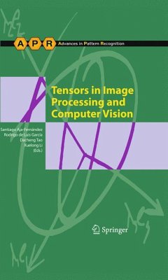 Tensors in Image Processing and Computer Vision (eBook, PDF)