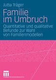 Familie im Umbruch (eBook, PDF)