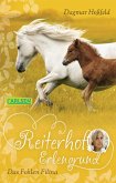 Das Fohlen Filina / Reiterhof Erlengrund Bd.4 (eBook, ePUB)