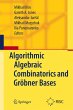 Algorithmic Algebraic Combinatorics and... - Bild 1