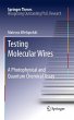 Testing Molecular Wires (eBook, PDF) - Bild 1