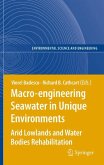 Macro-engineering Seawater in Unique Environments (eBook, PDF)