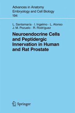 Neuroendocrine Cells and Peptidergic Innervation in Human and Rat Prostrate (eBook, PDF) - Santamaria, Luis; Ingelmo, Ildefonso; Alonso, Lucía; Pozuelo, José Manuel; Rodríguez, Rosario