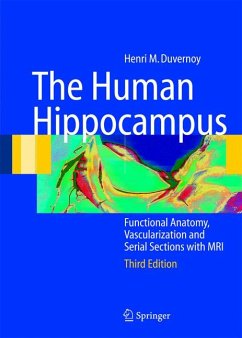 The Human Hippocampus (eBook, PDF) - Duvernoy, Henri M.