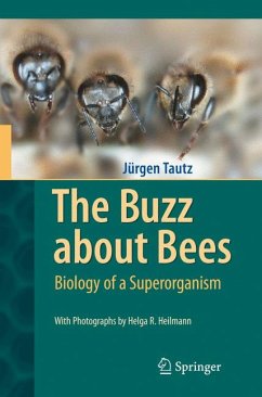 The Buzz about Bees (eBook, PDF) - Tautz, Jürgen